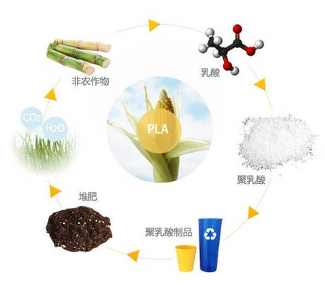 biopreferred生物基认证资讯】聚乳酸 poly lactic acid