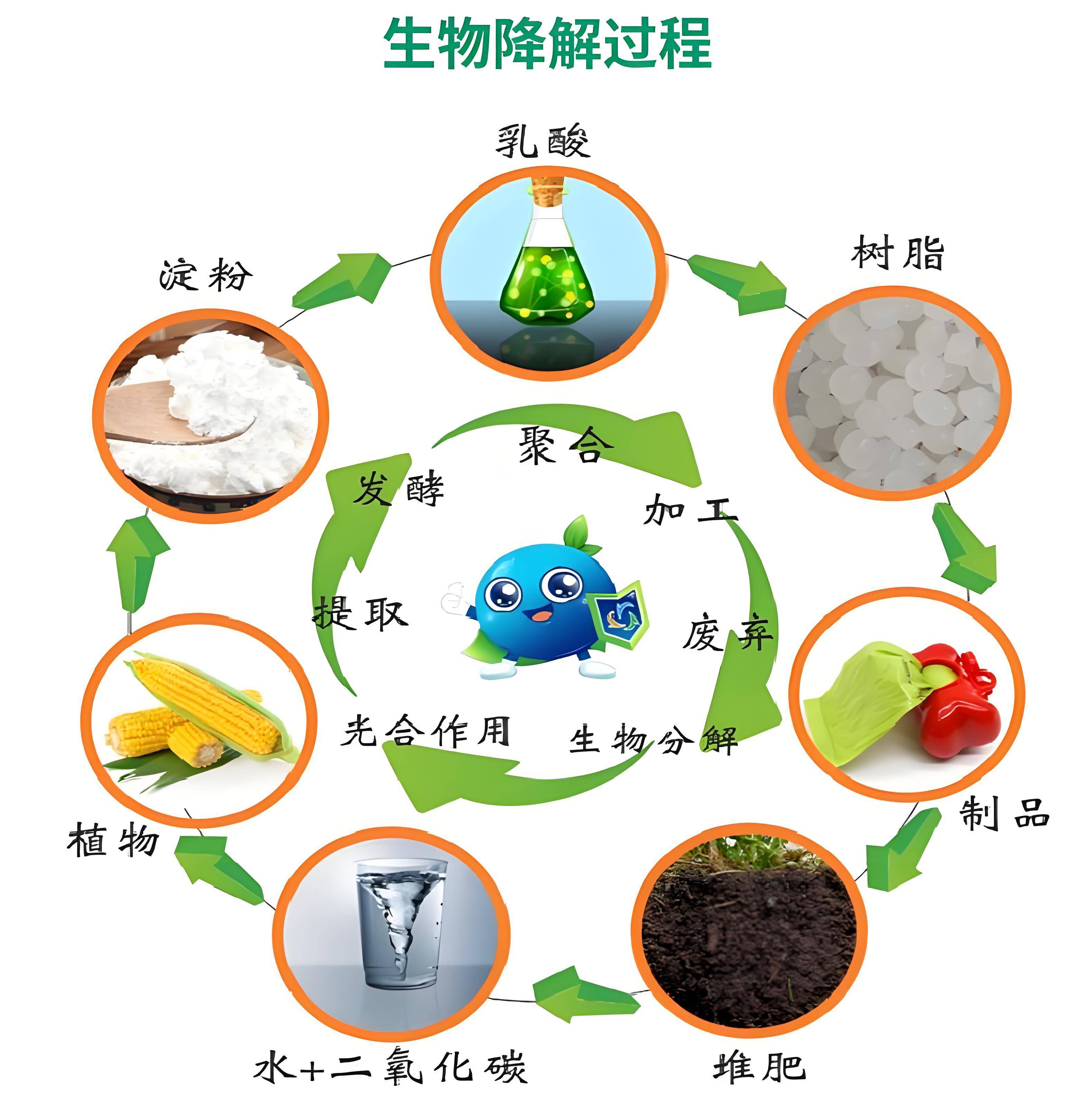 生物基材料&ne;生物降解材料:深入剖析两大环保材料的本质差异与关联